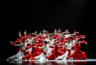 上海市舞蹈学校,请问上海有哪些舞蹈学校
