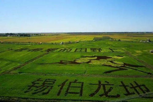 沈阳网红打卡地,登上电影我和我的家乡