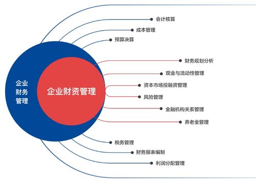 企业的财务工作如何进行资金管理？