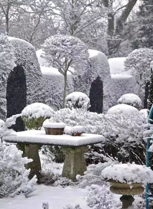 下雪时的院子,真美