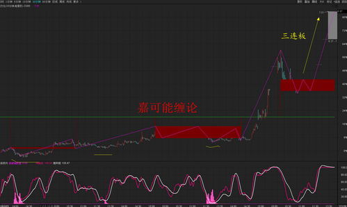 002436股票,002436股票：公司简介