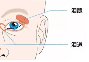 泪道阻塞不治疗会有什么危害