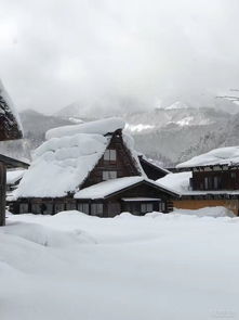 北海道雪景手机壁纸 图片搜索