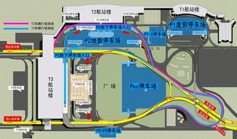 新郑机场t2航站楼停车场怎么进去(郑州新郑t2机场附近免费停车场)