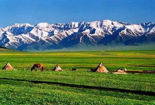 新疆 旅游,新疆：自然、人文与草原的壮美交响曲