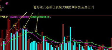 股市里的买进和卖出多少可以从那里可以看出来