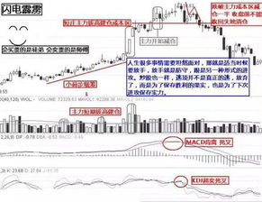 65岁了还可以开户买股票吗