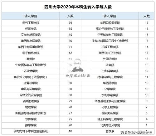 四川大学化学类专业有哪些