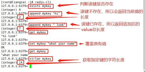 详细梳理 Redis 五大数据类型