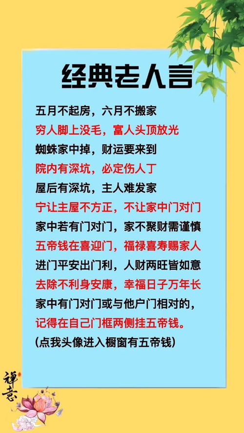 参观公司经典名言-动物园的宝言宝语是怎样的？