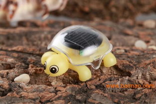 厂家直销 太阳能乌龟 益智儿童玩具 创意新礼物,厂家直销 太阳能乌龟 益智儿童玩具 创意新礼物生产厂家,厂家直销 太阳能乌龟 益智儿童玩具 创意新礼物价格 