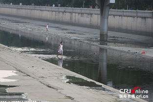 北京护城河水闸拦水见底 市民冒险捞鱼 