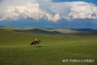 旅游团哪个网站比较好(旅游团哪个平台比较好)