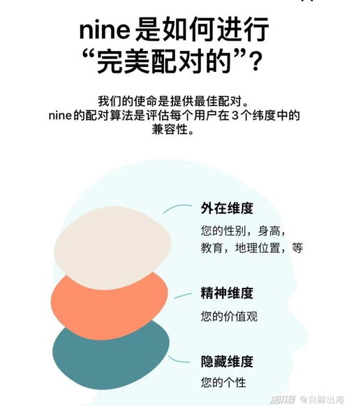 火遍全网的MBTI可能会给App带来百万新增