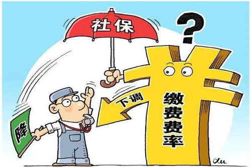 维普查重不用单位 维普查重如何降重？