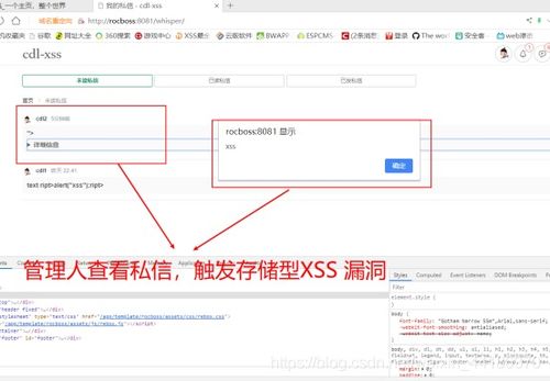 XSS漏洞解析：揭秘跨站脚本攻击的威胁与防范  第14张