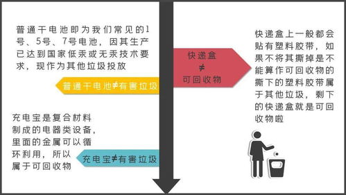 关于垃圾分类的若干冷知识