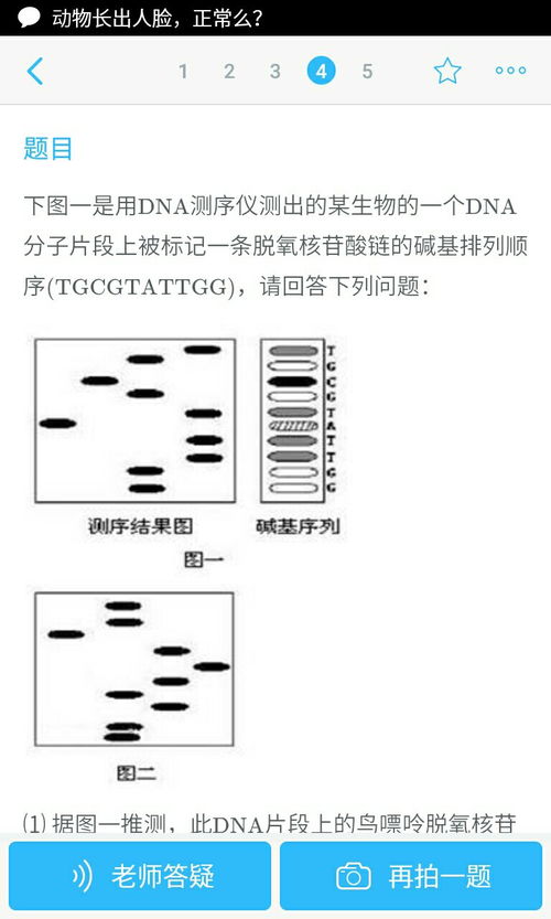 分析下面的两幅图分别说说下面的图是什么含义！！