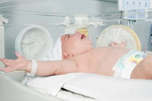 小孩血象高有什么危险 怀孕两个半月了，查血项有点高，就挂了几天头胞，对宝宝有影响吗？ 