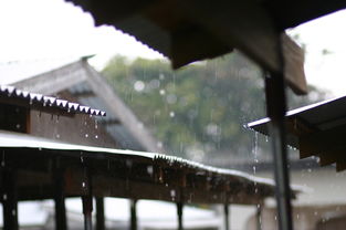 灵璧天气预报下雨