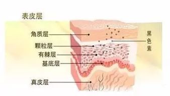 怎么抑制黑色素的生长,掌握关键！揭秘抑