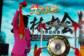 武林大会2013总决赛,武林大会比赛