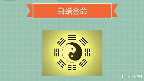 蛇运势2023运势详解 蛇2023年运势及运程每月运程