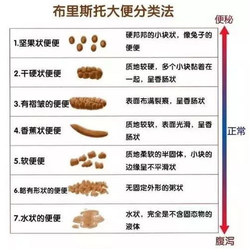 扎心 誓死发 粪 图强 结果便秘让我裂开了