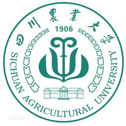 四川有哪些111大学名单