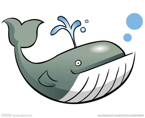卡通鲸鱼图片 图片信息欣赏 图客 Tukexw Com