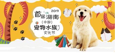 2019首届湖南 中部 宠物水族文化节招商正式启动