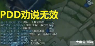 PDD直播遇到队友挂机,联系官方朋友,直接取消队友比赛资格