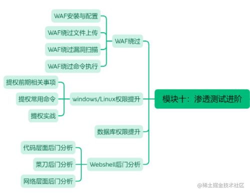 大学四年,我建议你这么学网络安全