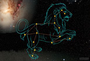 7.23狮子座上升星座是哪个,介绍：狮子座上升星座的意义