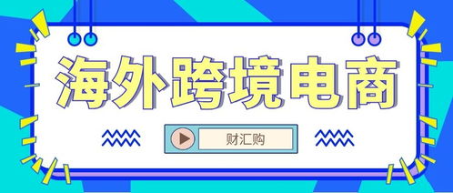 财汇购 平台力争帮助更多的海外商户解决物流难题