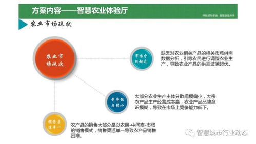 乡村智慧化农业信息服务体系建设,智慧农业的重要性。