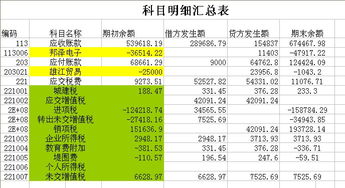 科目汇总表里 有哪些科目是要加上期初余额和本期发生额的，例如主营业务成本 主营业务收入