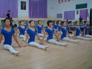 掌握舞蹈技巧，展现魅力风采——上海舞蹈学校培训机构助你舞出人生精彩