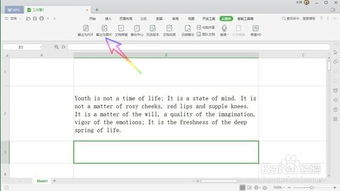 WPS Office 2019 怎样把表格转换为图片