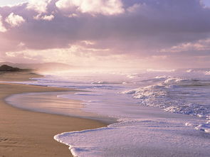 海边沙滩海浪海水动态风景图片
