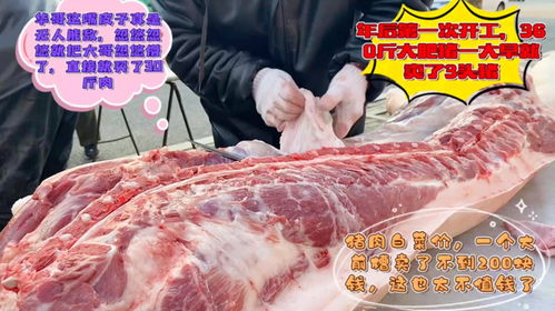 华哥第一天卖肉,360斤大肥猪卖三头,整个大前槽不到200元真便宜