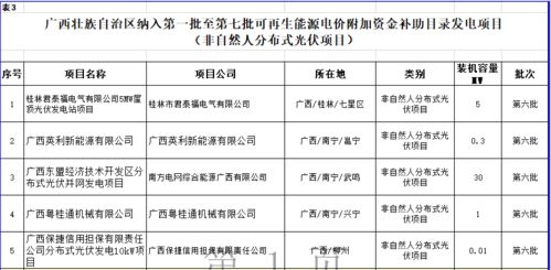 广东 广西电网公示第一阶段2020年可再生能源补贴项目清单