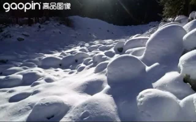 下雪冷知识,你被哪条冻住了 