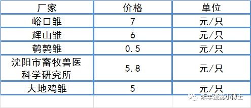 1月8日鸡蛋价格 淘汰鸡价格 雏鸡价格行情 