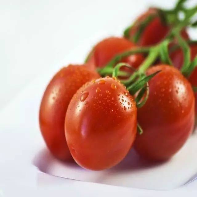 孕妇可以吃小番茄吗 孕妇可以吃小西红柿圣女果吗