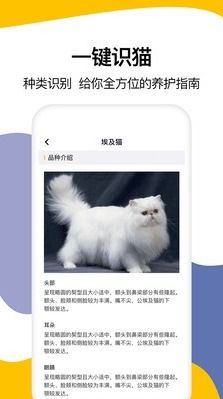 猫语翻译大全app下载 猫语翻译大全安卓下载v1.3 91手游网 