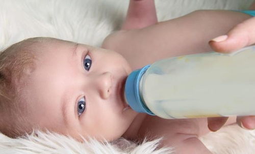 每个阶段的幼儿营养需求不同,两岁宝宝吃饭和喝奶哪个更重要