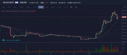 bch币2025年能涨到多少钱,比特币未来最高能涨到多少