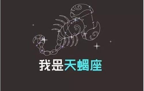 会把老婆宠上天的4个星座,当作小公主来养,愿意包容对方的一切