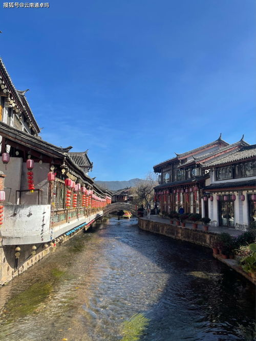 到丽江旅游,丽江之旅：古城的魅力与万只水鸟的奇观
